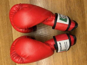 Boxhandschuhe