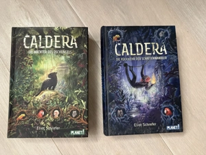 Diverse Bücher, Buchbände, komplett Bild 5