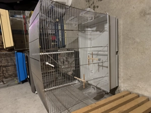 Käfig und Wellensittiche 