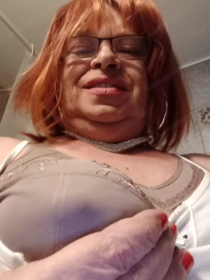 Ältererer passiver molliger DWT  Bild 3