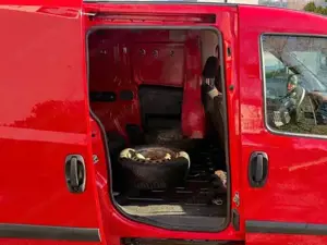 Fiat Doblo Bild 4