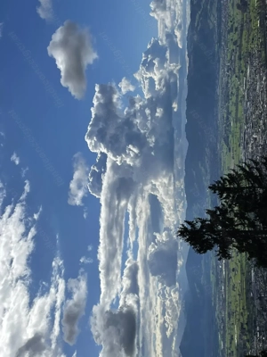 Finde dein 2. Standbein von zu Hause aus; ohne Investition! Bild 2