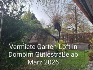 Garten-Luft in Dornbirn Gütlestraße ab März 2026 zu vermieten. Bild 2
