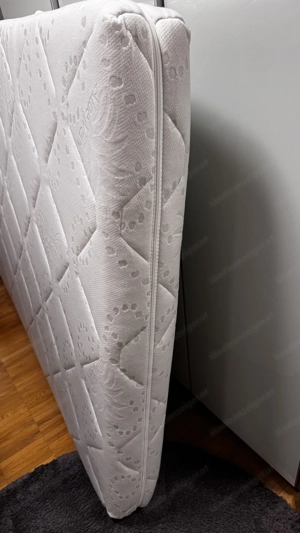 Matratze von Aloe Vera 