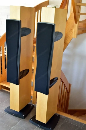 Dynaudio Confidence C4  Bild 4