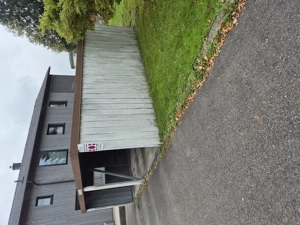 Blechdoppelgarage zum Selbstabbau-Abholung im Frühjahr 2026 zu verschenken Bild 2