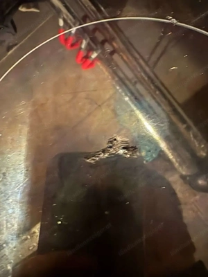 Neff Ceran Kochfeld Herd autark T18B42N2 01 Bild 4