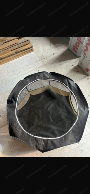 Wurfbox für Hunde Bild 3