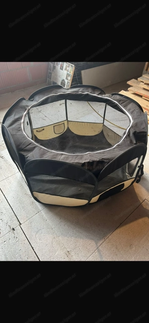 Wurfbox für Hunde Bild 4