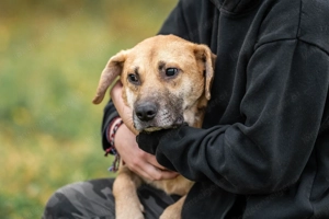 Blind und Taub sucht Pryanik seine Familie Bild 2