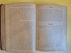 Antikes Buch "Tausend und eine Nacht" publiziert um 1911. Bild 8