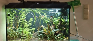 80L Aquarium mit Technik und Unterschrank Bild 2