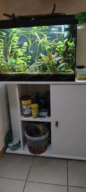 80L Aquarium mit Technik und Unterschrank Bild 3