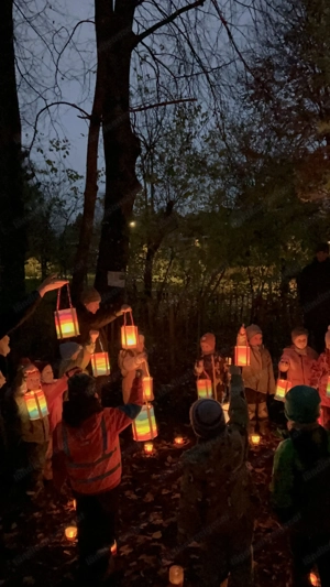 Kinderski - HEAD Länge 77cm Bild 2