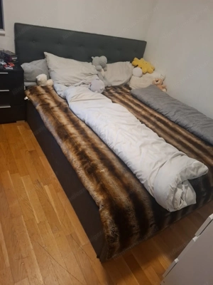 Polsterbett GRATIS.....  Bild 2