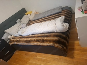 Polsterbett GRATIS.....  Bild 3