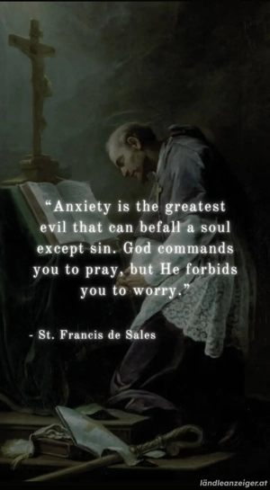 Winterjacke Parka Damen S dark grey. Olympic Team Austria 2022 Bild 10