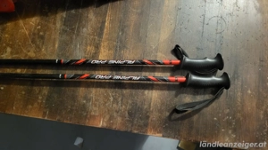 Ski Stöcke 110cm