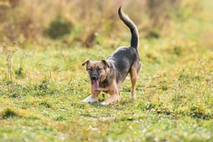 Ruhige Kara sucht ihren Endplatz Bild 3