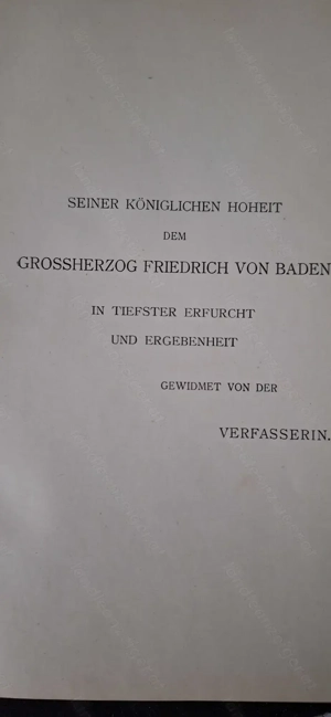 Reiseskizzen vom Bodensee, Vorarlberg, Montavon und Untersee (Berlin 1898, 247 Seiten) Bild 2