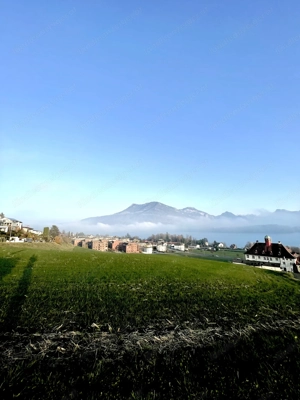 Zimmer mit Ausblick gesucht