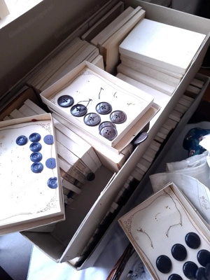 Alte schöne Kleiderknöpfe | zirka 1900 - 1915 | Zustand Neu Bild 5