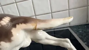 Nymphenburg Porzellan Hund Bild 2