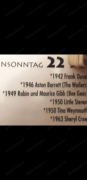 MichaelHutchence28thINXSaz AbbaZappa Uvm Bild 6