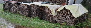 Brennholz hart 1 Meter