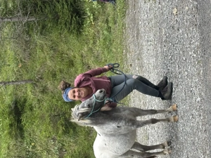 Pferdetraining mit Herz und Verstand