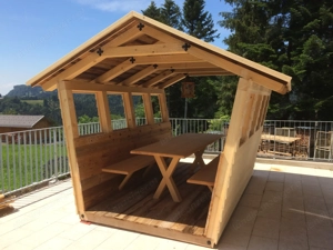 Altholz, Täfer, Deckbretter, Wandverkleidung, Top Qualität Bild 7