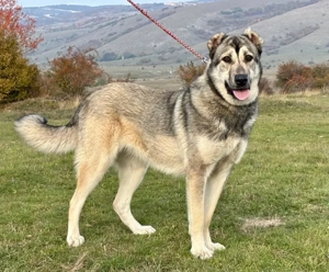 Zarra möchte bei IHNEN glücklich werden