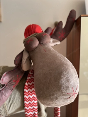 Weihnachtsrentier Rudi Bild 3