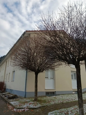 Lichtdurchflutete 3 Zimmerwohnung, natur- und grenznah Bild 7