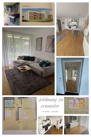 Tolle Gartenwohnung in Hard, freundliche Nachbarn Bild 5