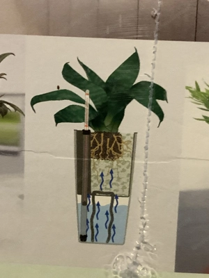 Pflanzgefäß: MAXI-CUBI von Lechuza mit Bewässerung NEU Bild 3