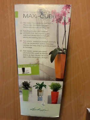 Pflanzgefäß: MAXI-CUBI von Lechuza mit Bewässerung NEU Bild 4