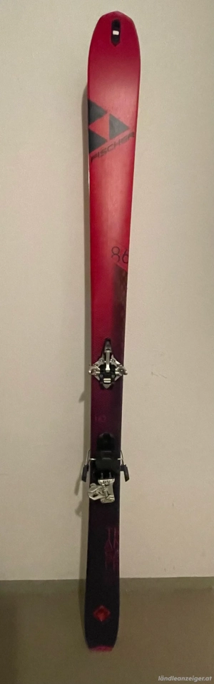 Tourenski  Bindung  Felle Harscheisen Bild 2