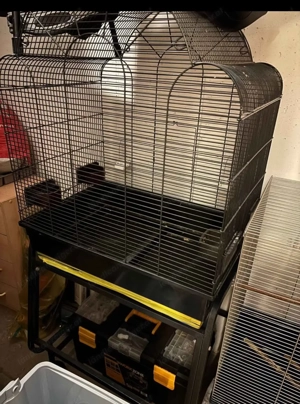 Vögel Käfig zum v Bild 2