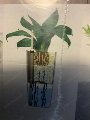 Pflanzgefäß: MINI-CUBI von Lechuza mit Bewässerung, NEU Bild 4