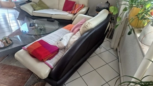 biete 2er und dreier Designer Ledercouch Bild 3