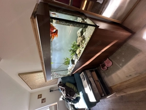 Verkaufe 240 L Aquarium mit 4 Goldfische Bild 2