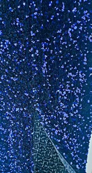 Damenabendkleid blau Bild 6