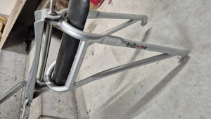 Follow Me Fahrradanhänger