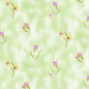 Bettwäsche Baumwollsatin 2x 160x210cm 2x 65x100cm - SCHWEIZER GRÖSSE Bild 2