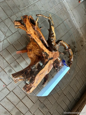 Wurzeltisch  Bild 5