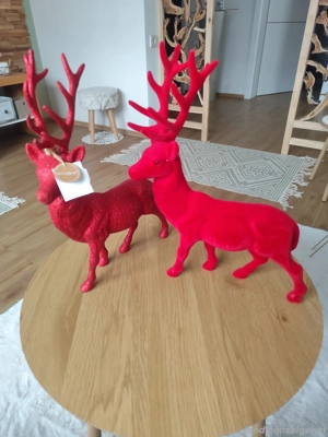 Weihnachtshirsch Bild 3