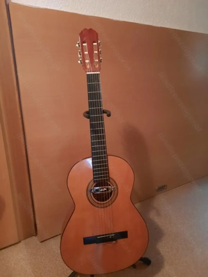 Gitarren samlung Bild 4