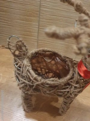 Rentier - Blumentopf Bild 3