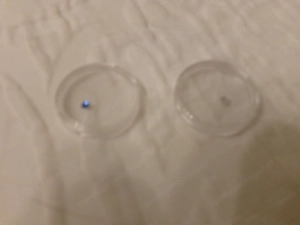 Zahnschmucksteine weiß + blau  Bild 2